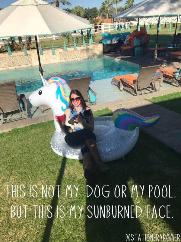 Stationery Romer on a unicorn pool float holding a dog.